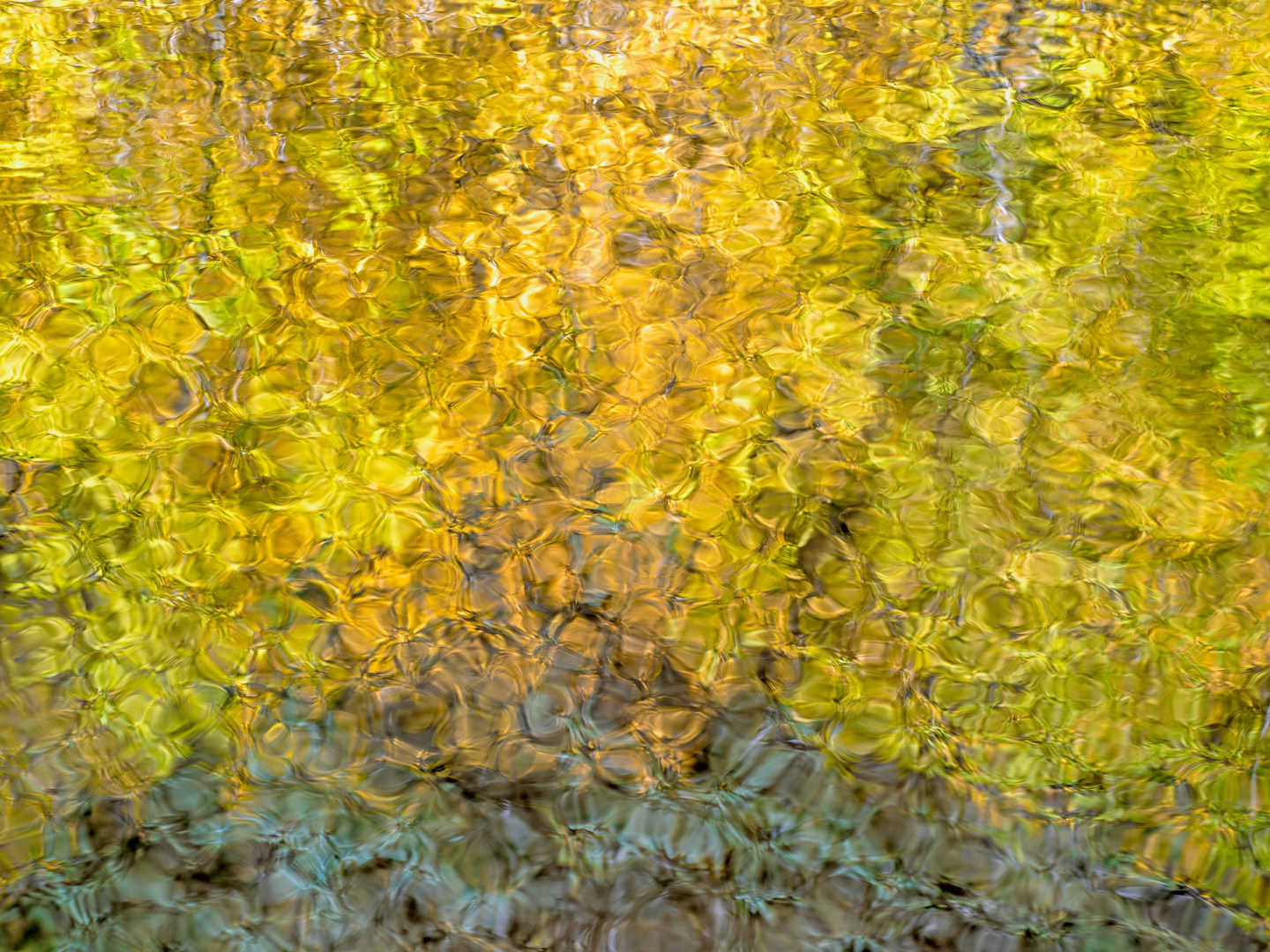 Reflections - Subway - Zion National Park - Master