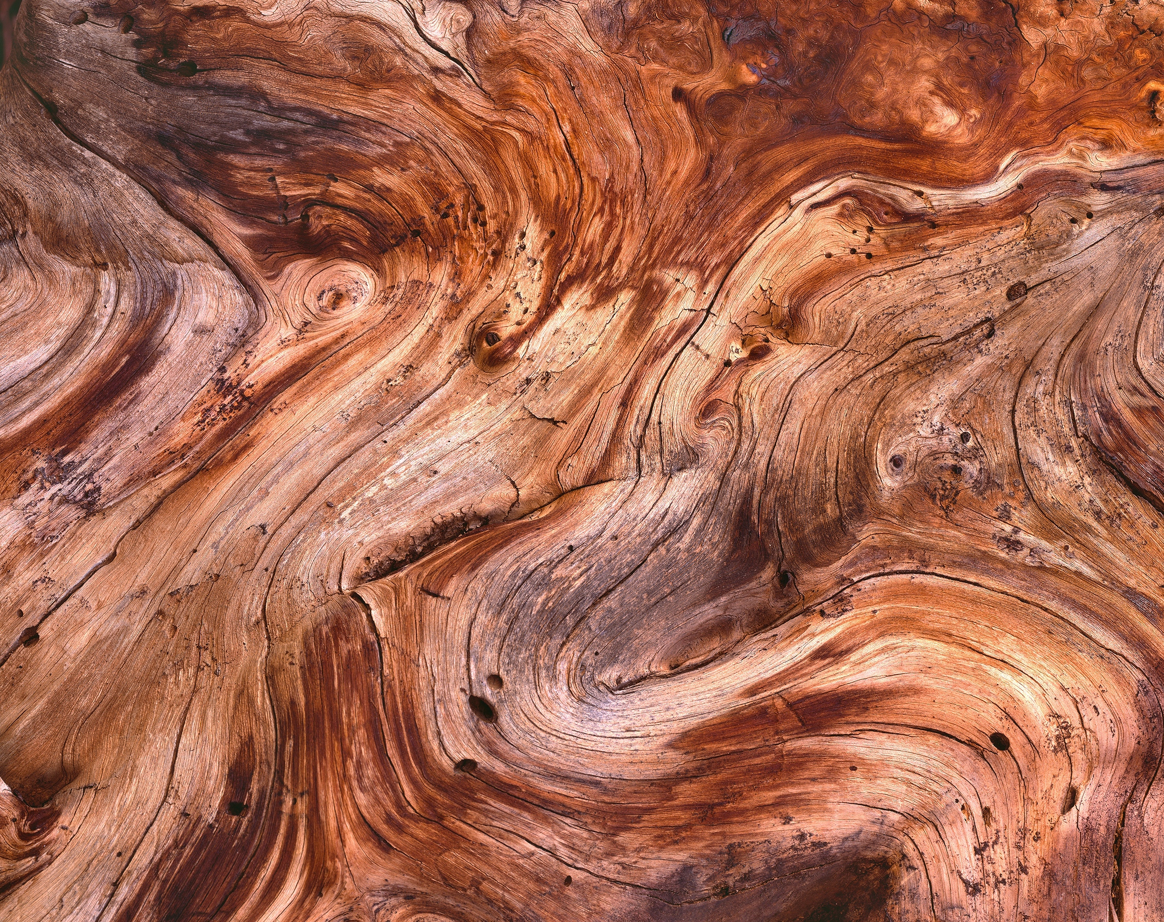 The Topography of Wood